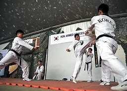 Image result for Martial Arts Breaking Techniques