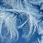 Image result for Animated Winter Wallpaper for Desktop