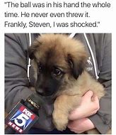 Image result for Puppy Power Meme