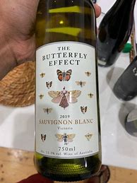 Image result for The Butterfly Effect Sauvignon Blanc