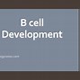 Image result for Maturation of B Cells