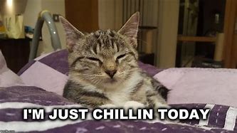 Image result for I'm Just Chillin Eat in My Biscuit Meme