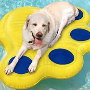 Image result for Animal Pool Floats