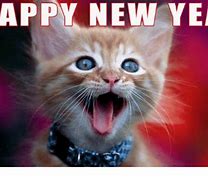 Image result for Best New Year's Memes