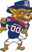 Image result for Arizona Team Mascot