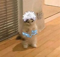 Image result for Standing Cat Meme Anime HD