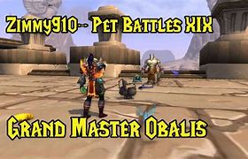 Image result for WoW Pet Battle Master