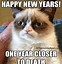 Image result for Funny Happy New Year Sentiments 2019