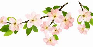 Image result for Flowers and Branches Clip Art