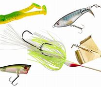 Image result for Topwater Bassers