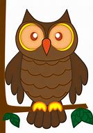 Image result for Owl Cartoon Clip Art