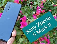 Image result for Sony Phone Xperia 2