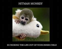 Image result for Hit Monkey Memes