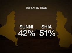 Image result for Iraq Sunni vs Shiite
