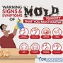 Image result for Mold Allergy