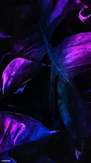 Image result for 4K Wallpaper Neon Forest