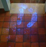 Image result for Bloody Shoe Print