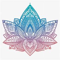 Image result for Lotus Flower Yoga