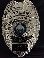 Image result for Corrections Officer Badge