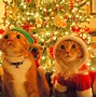 Image result for Fun Merry Christmas Images