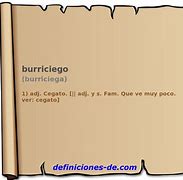 Image result for burriciego