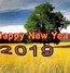 Image result for 2019 New Year's Eve