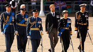 Image result for Prince Harry at His Mother's Funeral
