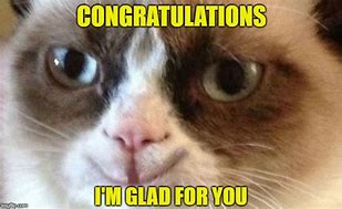 Image result for Congrats Cat Meme