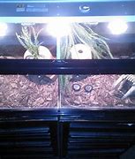 Image result for Zoo Med Critter Tank