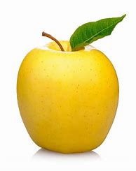 Image result for Large Yellow Apple's