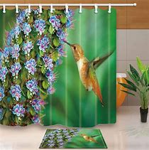 Image result for Bird Shower Curtain Hooks
