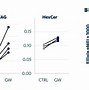 Image result for T Cells Function