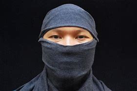 Image result for Ninja Invisible Cloth