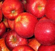 Image result for Royal Gala V Pink Lady Apple