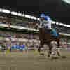 Image result for Horse Racing Triple Crown Race Women