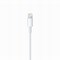 Image result for Kabel Charger iPhone Type C