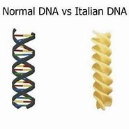 Image result for USA DNA Meme