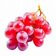 Image result for Grape Vine Pillar