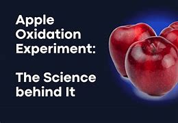 Image result for Apple Oxidation Science Project