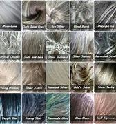 Image result for Gray Hair Color Chart