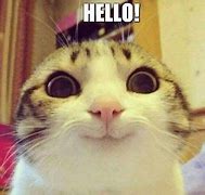 Image result for Cat Saying Hello Meme