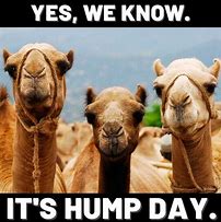 Image result for Hump Day Almost Over Meme