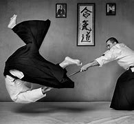 Image result for Deadly Martial Arts Girls