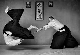 Image result for Which martial art is the the most dangerous?