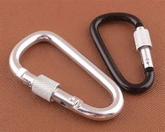 Image result for Giant Carabiners