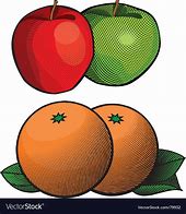 Image result for Compare Apples and Oranges Vector