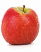 Image result for Apple office return deadline