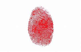 Image result for Fingerprint History