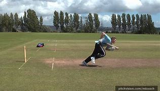 Image result for Cricket Runs