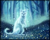 Image result for Ghost Cat Book
